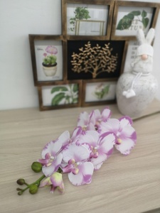 ItdiSRq9UoY ItdiSRq9UoY