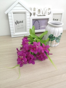 tGNc4et1ukA tGNc4et1ukA