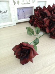 g4BxyuuYSrnzXUsRPioWLEAMGpACfothxPkvxFL4lpWemxCSVKpBd3-OzU91Tkcy6BkSuHikdelXEfmg5UuHvUqG