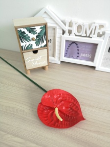 A2geK3uGFL-DknbspvX6mGV9uMLNa0z5D3EMmtjiYfzpGi2MOB3ud00XaZQOEXdxcN_9tYfad5ym3hZRSgsEIoSt