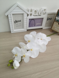 MXgJeSfGQHY0hoxAcEguOPL4HqEKY5r_7Te-cmh8OBu3tPDuW_o49E7cku6V9eYIWwJWOJp2ntEKGDNm5VAj9sVx