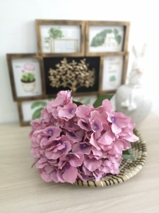 7C-vEoXJ5ew 7C-vEoXJ5ew