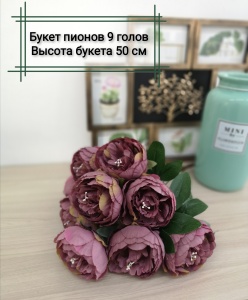 IMG_20221021_141137 IMG_20221021_141137