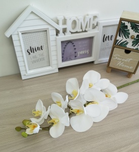 Og6GmRTAyBUbfcAfwOckp6MleXr_Uy4o6FaOfPXj92JdN1TOqormczJPnQk-J1EEnbD-YbGNonWybuztO_yj1Kbb