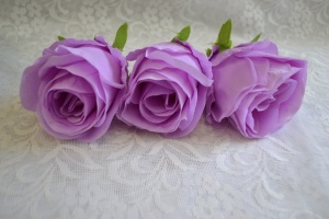 T5CSI51odek T5CSI51odek