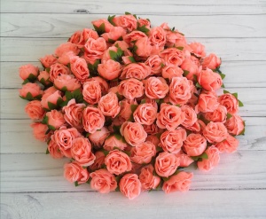 DpVgM8PddMMl-fYYQLjvEDnzpIpH7nChqVegsGYJdj9INItEnTmisrkUz0TxUTGxOjreBoO9GE4--ydN5St7wMCl