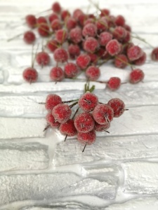 xmrxqLaApHvT_72iDQNLN9_qRZoyzcBgwfLuX8IPEDTLnZZPZZG926p0uScgnXLGHf7Nq22FbmXeK_oCZ4yF2M7o