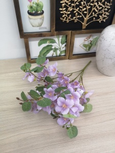 8v8eC7CDJ3A 8v8eC7CDJ3A