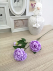 Ai8phTV2B60 Ai8phTV2B60