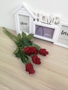 VXLAyuaV7JLAhFwx7VzFxv7x9M8zKwenFq0VkoguM4WjCkOwWF0T6OsJuoG68Q1HER7hyccHkCv4JgWr6S5-iDd1