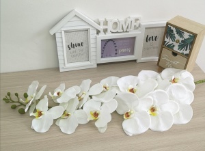 NAKi21Uz_6C45ack3l6mRdM-UiIQ0faYDLntFB7nNOK7XTts1vpXJPn4cbDdvpuOvVlObiac_ILGgY01S3ME-R30