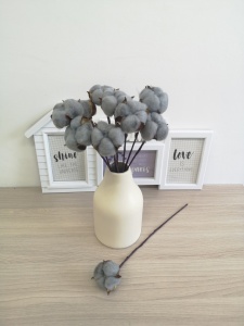 0CCStU8PzfKHbNhhSZb6pI1S6itxeOU3R2sczbWdvlezdR-JSvbcA0bIealyIpfZlbCQxbkZ3Kxa_1Gj5Q5EGgwB