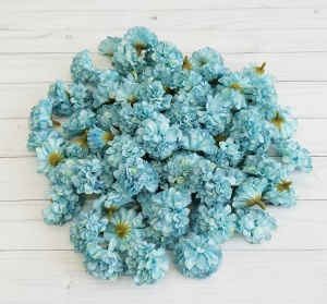 May07YfgZbg9tL9T7uq9-c39nHxqddWHnR6ZFvXURVpMc7xGm-kWtGWYzeJXnAwHk4-t5LF9Kxs1eyvVz0qCAwVU