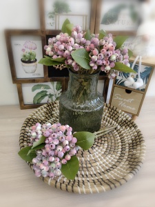 IMG_20240227_124218_edit_159774537016134 IMG_20240227_124218_edit_159774537016134