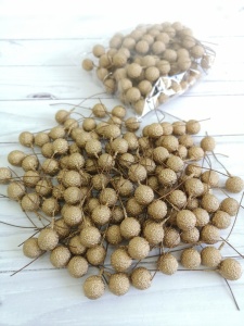 JFGloodnp1mx15J-pgwWy4h5Xow7qB2IDF9f44yQirEcxUHsJaQWQCbAVgIm3qLqe0ZANMoAvTISC2kPz4AAnwB2