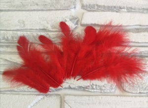 C_vU6yHKVqIIrsehit1nZrgdNjQUrrp1shshO4J17fN1YR_zGErb4X9Z1_C8yHGejLiiDB4iddXmFL_vLjxJEblK