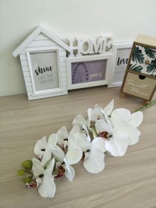 eQbXtGjlYVrl44ZHYFlIRO-QFkl05QjWP1N7okwpIYfhWrmUC2eRp8Jnm4vGJ9ShrC4DENPjXk0bazLrhJgl9P8M