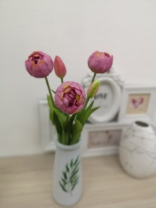 W3t94EbRH1RDCA0XmxR0WR9x9PCDLHvPUWMvYsZP1v2jiusgftxoWUfwnTrWa_nPEIF0L7QLCXTmg9-5JcvCQgef W3t94EbRH1RDCA0XmxR0WR9x9PCDLHvPUWMvYsZP1v2jiusgftxoWUfwnTrWa_nPEIF0L7QLCXTmg9-5JcvCQgef