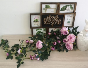 ezZRdgrb1RM ezZRdgrb1RM