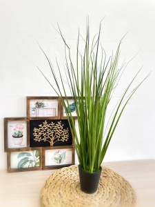 ZAvEaGkwcJ4CeZCE14EjgX3VRSviDa1yR4XEW5C43uasEiVjVAljtfNHrLbqSRgu1fSbexqU6PCU-mKuxJPDcXTx