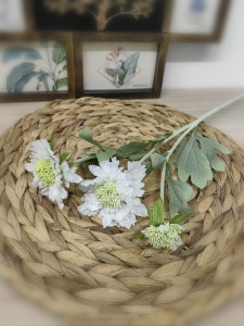 14561