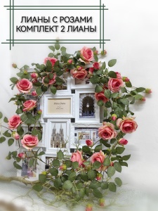 IMG_20240920_172312_edit_777791450141001