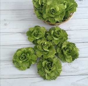 eoxBhac7G7ltPMqXWSmo5qIKHAKoJjgsWRN2cljSn-ZdJVuQHkXpiLbc9sTzMIaZnynmGkGzGiP1P5taGdENieD_