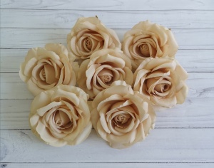 JmpswMOprlrHUy-cj5xCSrbGi2HKudyT8JEqNRvq6zUGllLM-5EnulFmXlMdH00ljOaflggtnUfL7Hw_AhZJ00Ib