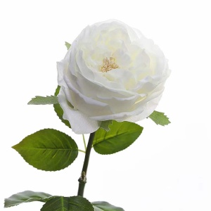 mmexport1676459067208