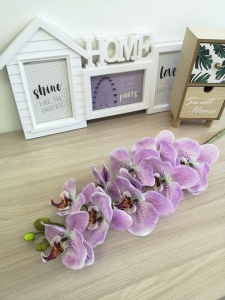 zkdGpcFpjAfmwbFaB35_GWZeLPJA-Md3qbsKm_ikkhjrNTuvNNTpGjv6FAUKZwOzjBEmSQ3VIAZYmomIHKnMQaAH zkdGpcFpjAfmwbFaB35_GWZeLPJA-Md3qbsKm_ikkhjrNTuvNNTpGjv6FAUKZwOzjBEmSQ3VIAZYmomIHKnMQaAH