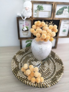 3k6uJhwYNmrZphXSU6eLXTd9QkDjdfgmbz6rPX2r8v49Ls8wPjtIfePrAPjhphokISBValYpcZAP9ZEi6U6lwvKo