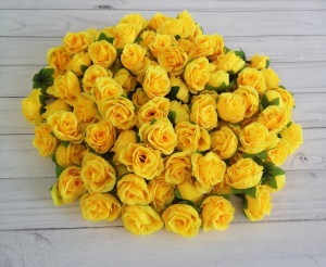 JC3UN1sYZwxngc5n8nbLSiXSNUjjOfg5EgEGipOr_Xs0KT4k9gRl3D-TOZJrhHBkTbS43FBYaEymoIvq9z5YHnuM