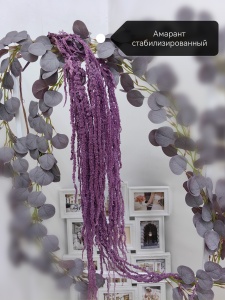 IMG_20250505_182117_edit_805827296320151 IMG_20250505_182117_edit_805827296320151