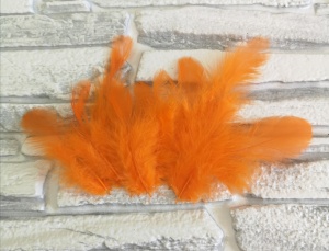 dP6NaCWcv2zBfpopVVZ-WITc8nVMq9pWhuRbZcu7CZz4vdkeUOwt9x4vSHNJ5LoR2z1YmE5ZgVc8YKKpIe2RA-p1