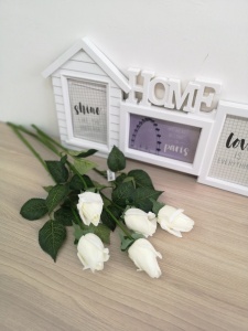 OU7IxmJAyEE6UWYoeKeozBs4qMxOsItRJB3dCcfDkzR1XFoC8NfqURlCjrKtXYuYpeJwcjbYrOFYs3-tnFDBnV0B