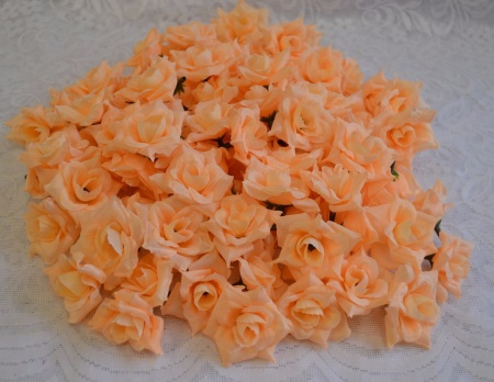 LIZZ79RlWhc